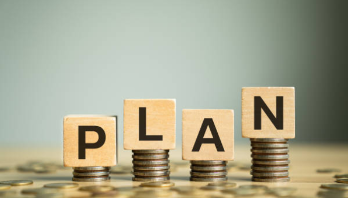 Understand The Planner’s Role