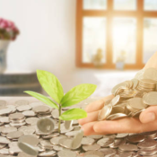 is chase self directed investing good