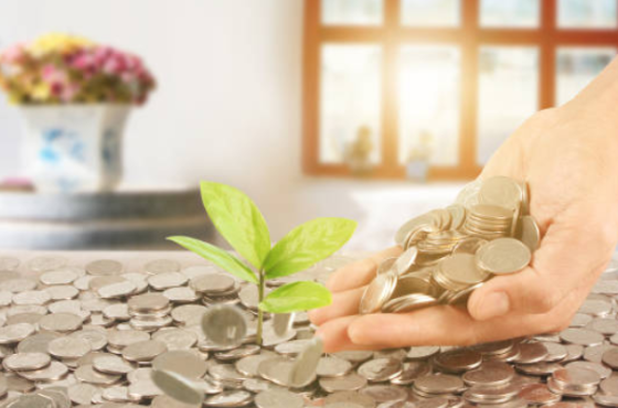 Is Chase Self Directed Investing Good for Managing Wealth?