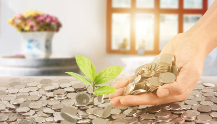 is chase self directed investing good