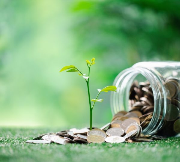 wealth management in Henderson