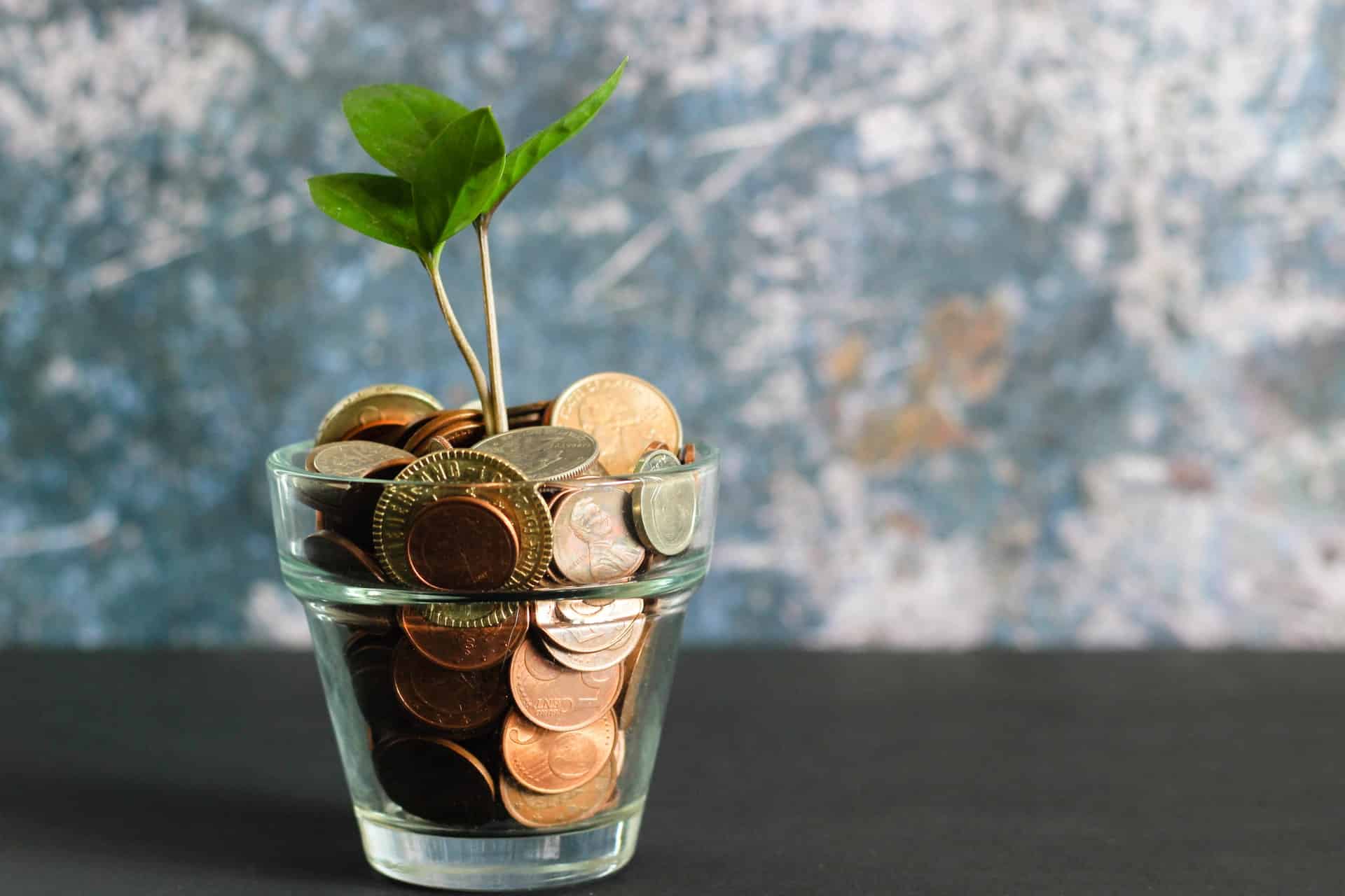 Best private wealth management firms