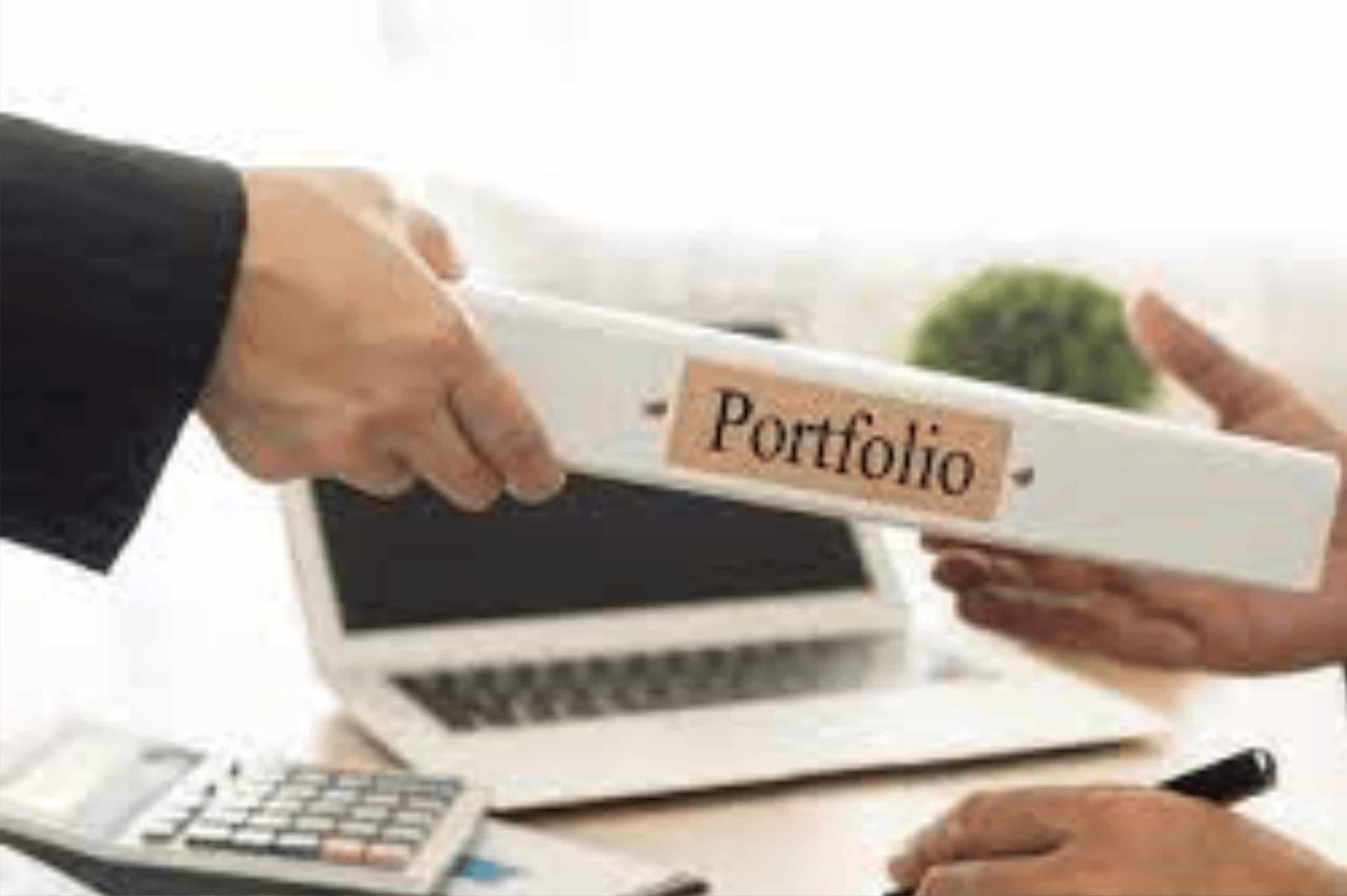 What are the 3 types of portfolio management