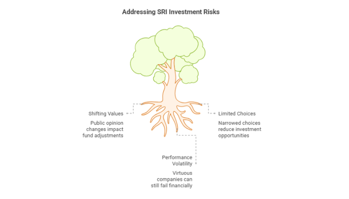 Preparing For SRI Risks